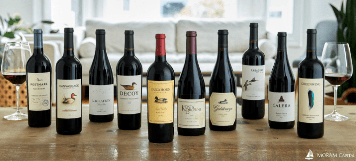 Read more about the article Duckhorn Portfolio $NAPA