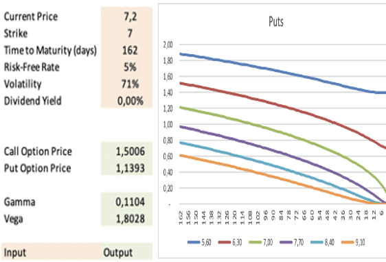 MORAM Capital - Options Calculator